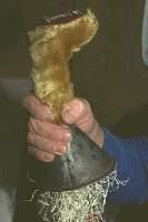 Stuffing with funnels